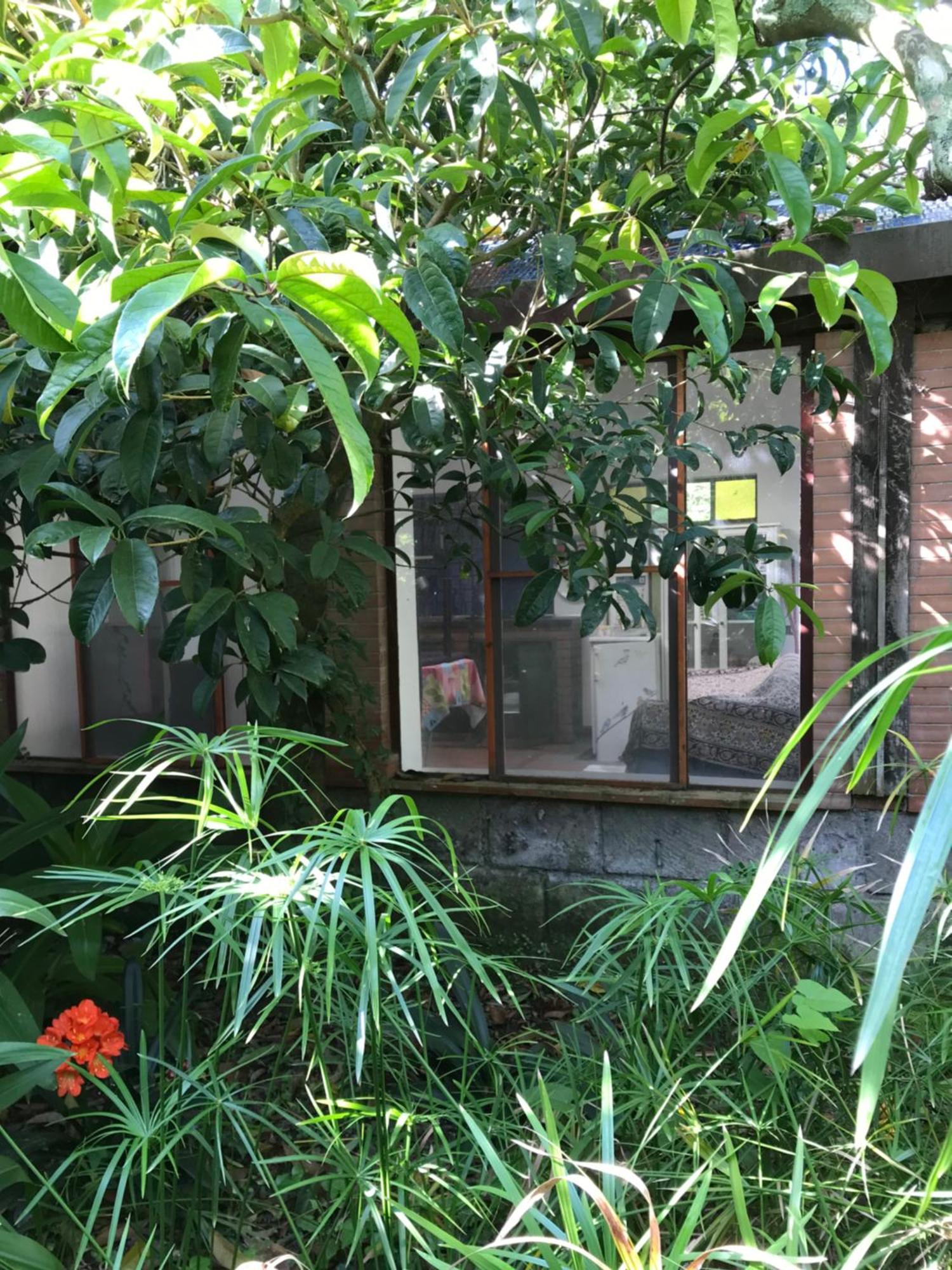 La Gallina Felice B&B Meta Exterior foto